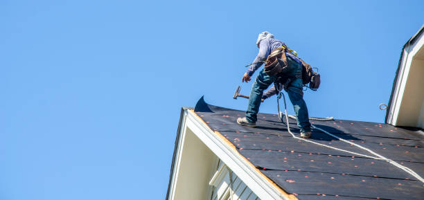 Best Residential Roofing Contractor  in South Sioux City, NE